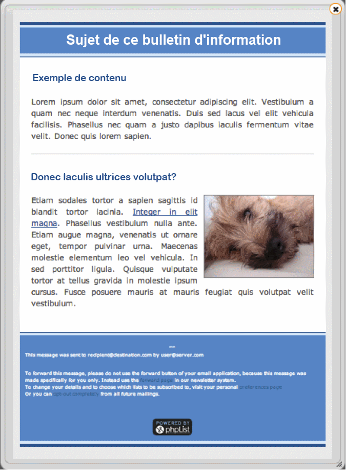 default_newsletter_template_fr.png