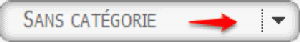 uncategorized_button_fr.png