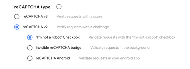 recaptcha_4.png